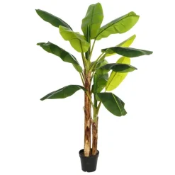Agex
