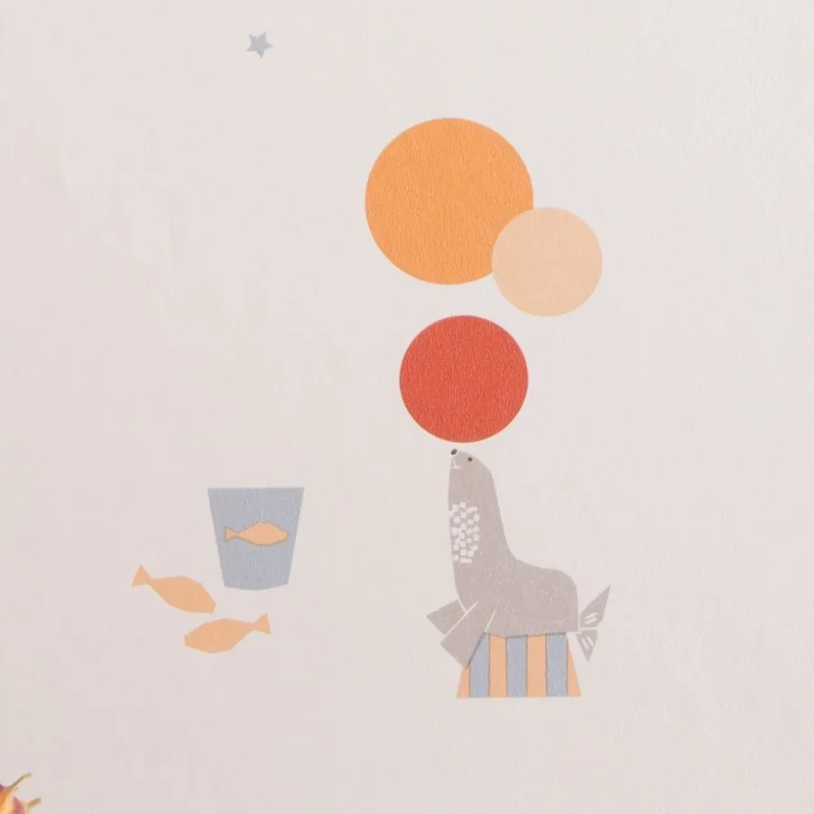 Cirque