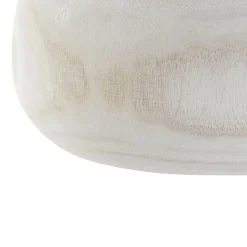 Fina