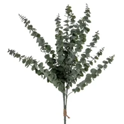 Husa